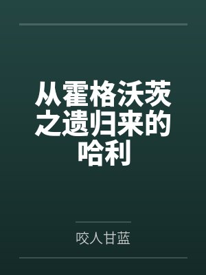 从霍格沃茨之遗归来的哈利